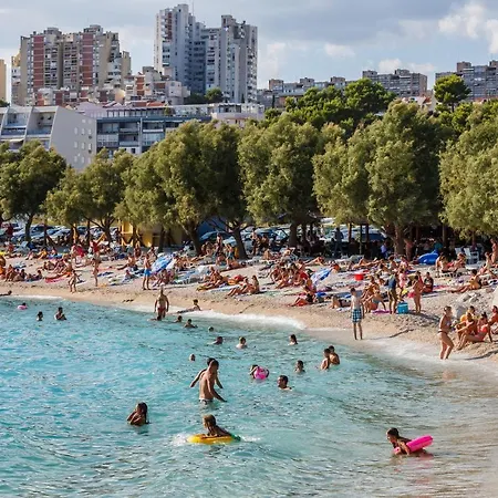 With Wifi - 21439 * スプリト